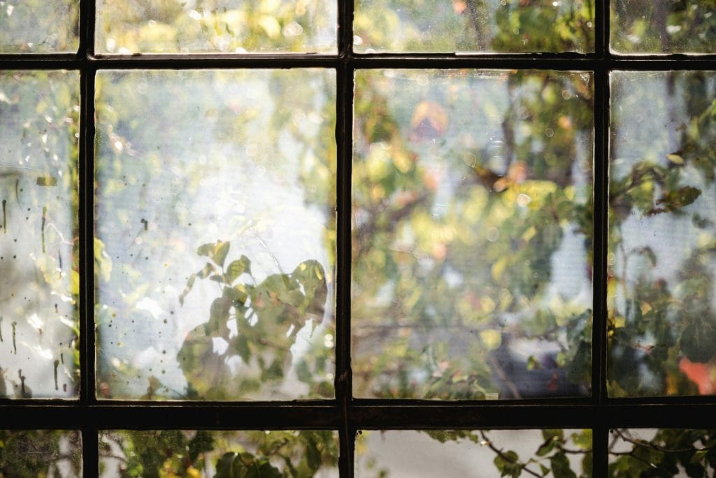 Staying inside looking out, as a metaphor for holding back as an academic and writer